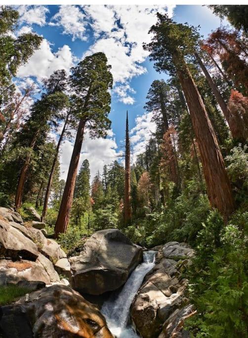 Sequoia Villa Вайселия Екстериор снимка
