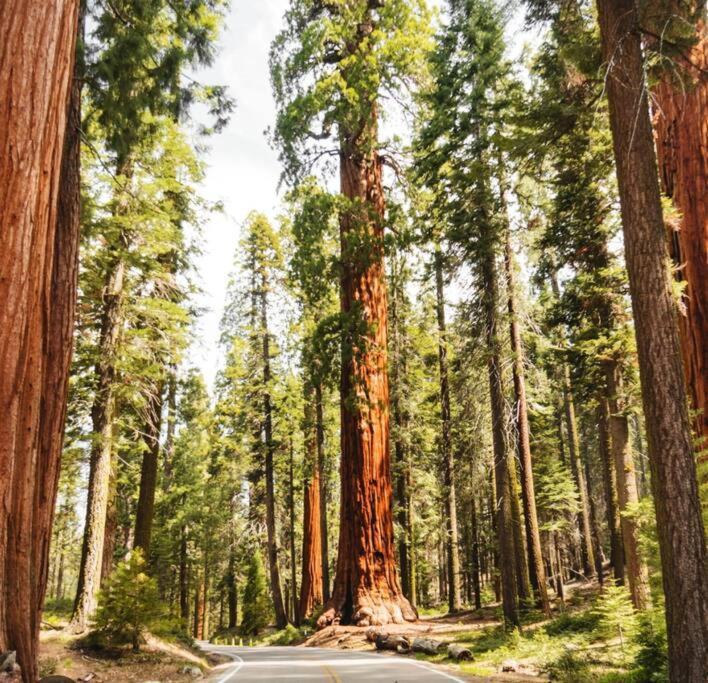 Sequoia Villa Вайселия Екстериор снимка